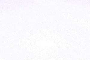 中国足球协会关于组织2025年“雏凤计划”选拔营的通知