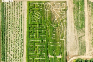 整活新高度！独行侠晒照 新科状元弗拉格被“种”进了玉米地