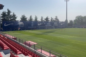 记者：巴里奥斯正常训练&吉梅内斯继续恢复，索尔洛特肌肉痉挛