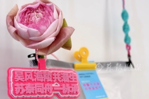 苏泰同舟一脉承！“苏超”苏州给泰州球迷一人一朵重瓣莲花