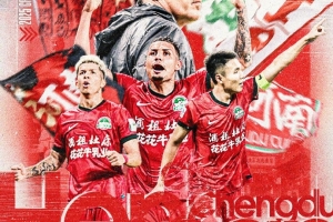 足协杯 成都蓉城VS河南 8月19日19:35 五粮液文化体育中心足球场