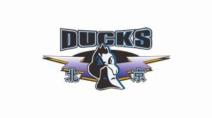 媒体人：北京队新赛季将从欧洲引进一名新助教 很有可能来自希腊