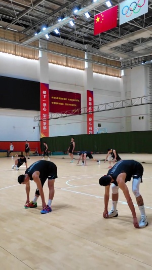 山东队晒高诗岩&陈林坚训练视频：这是不是你们最想看到的同框？