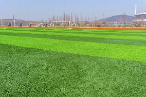 荷媒：一名费耶诺德球场安保欧联资格赛后遇袭，警方依然在调查中