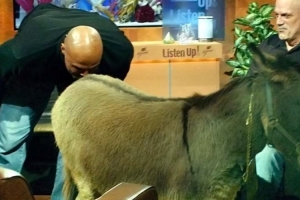 杨毅：巴克利说姚明19分他就亲驴屁股 后者说那他每场18分就好了