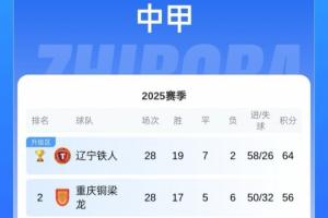 中甲积分榜：铜梁龙领先广州豹2分，还剩2轮争夺一个冲超名额